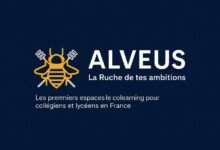alveus