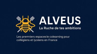 alveus