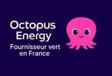 octopus energy france