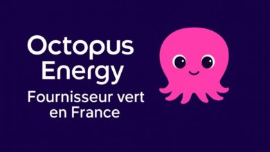octopus energy france