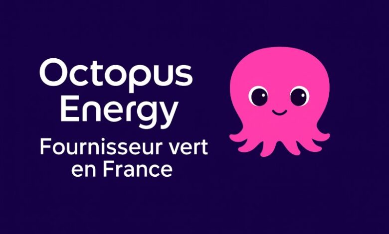 octopus energy france