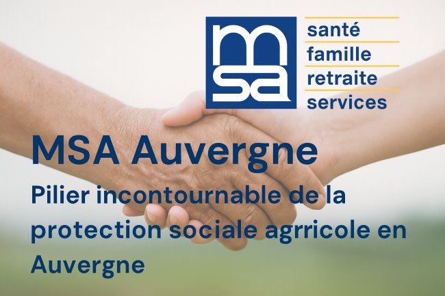 msa auvergne