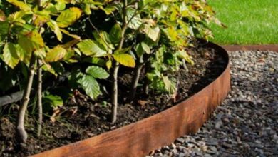 jardinage